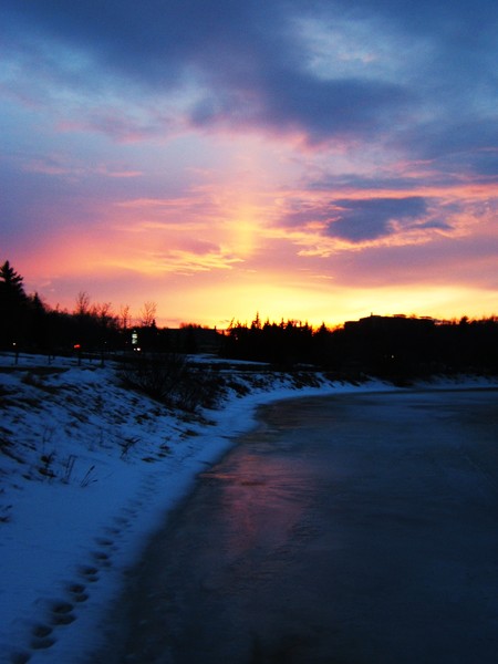 frozen creek