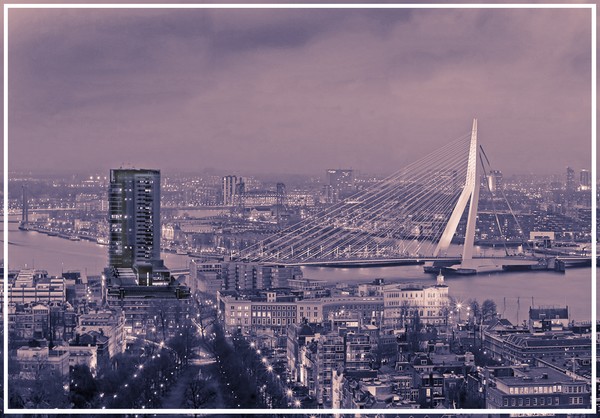 Rotterdam by night 