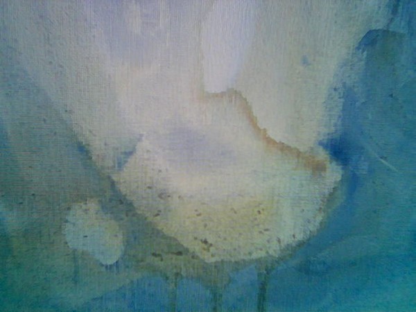 Cavity