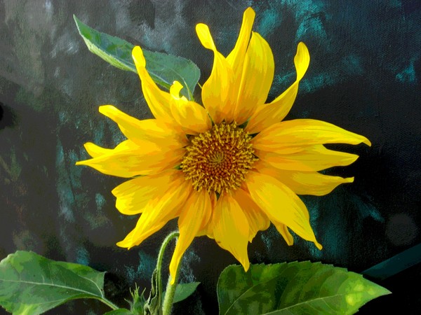 G'morning Sunshine