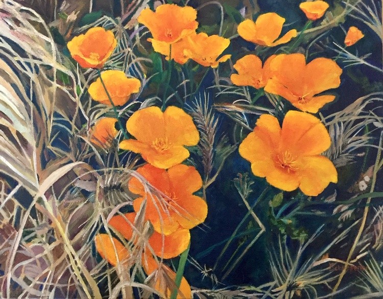 HikingPoppies