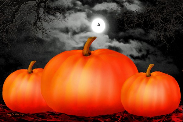 Pumpkin Patch