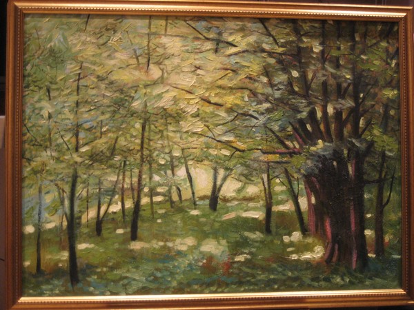 forest