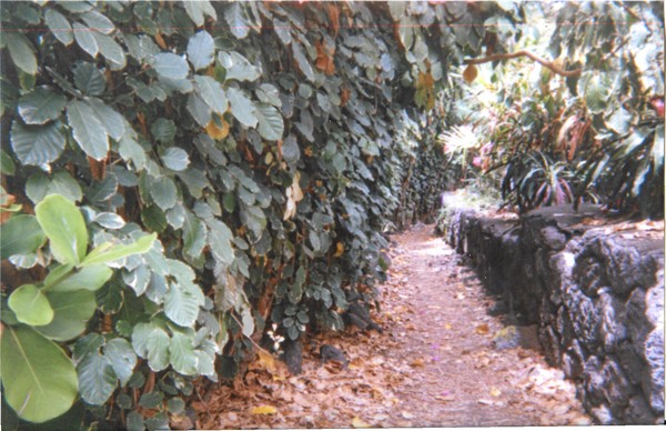 the path less traveled