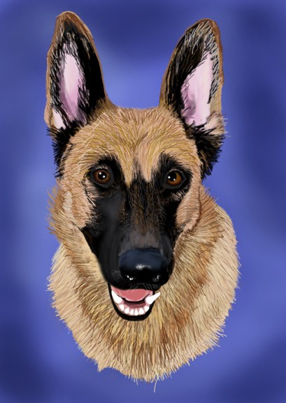 German Shepherd