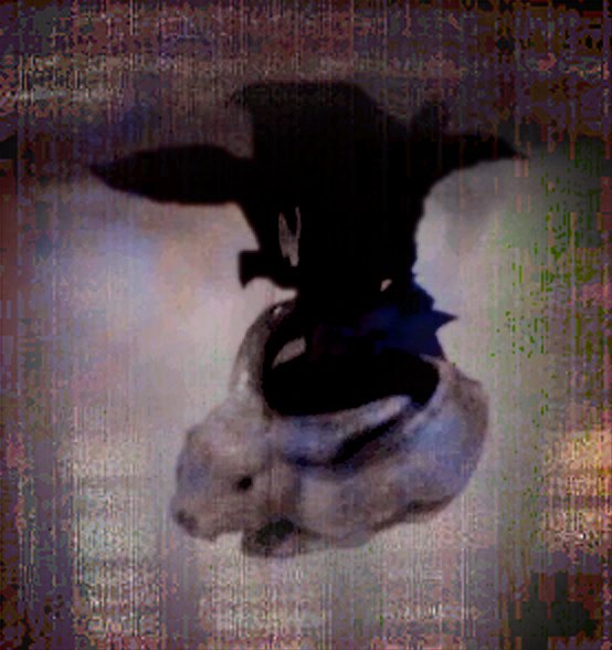 rabbit