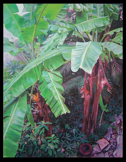 Banana trees