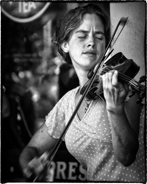 Fiddler