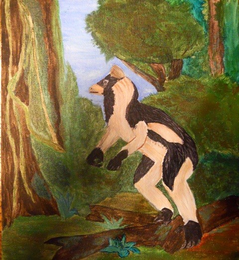 Indris Lemur