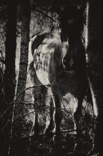 K5 S2365 Edit