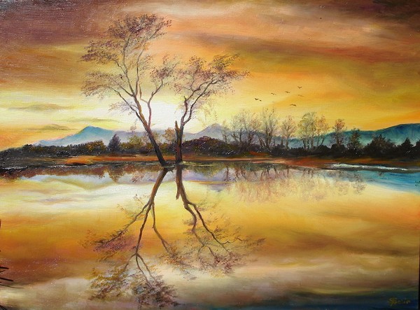Sunset Christmas Special Offer