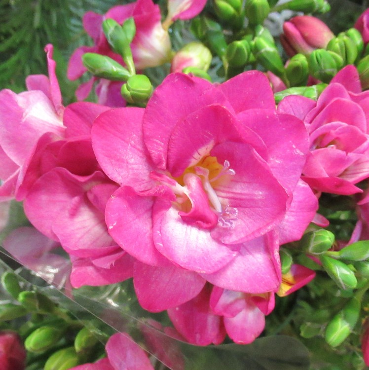 SOME COLOR FOR YOU!