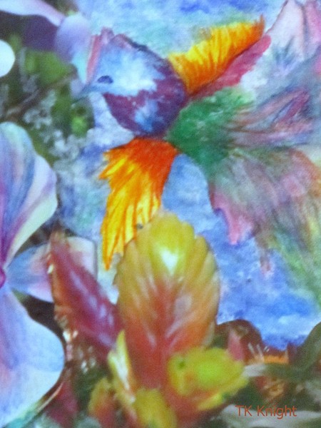 Imaginary Birds