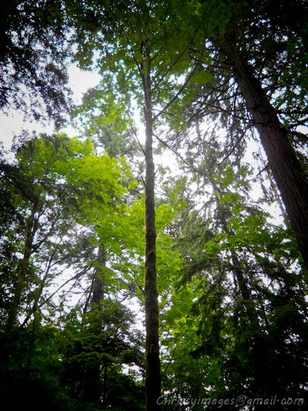 look .. up