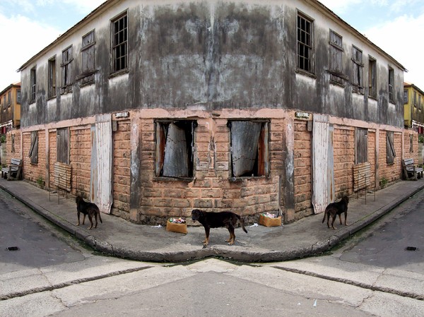 3 Dogs,last1600x1200