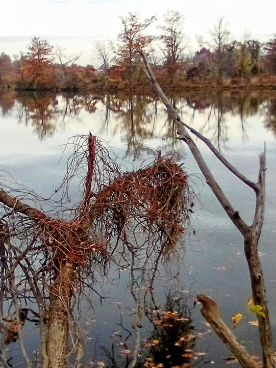 IMG 20241110 072754~2