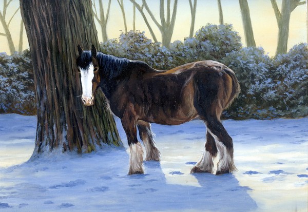 Brockenhurst winter