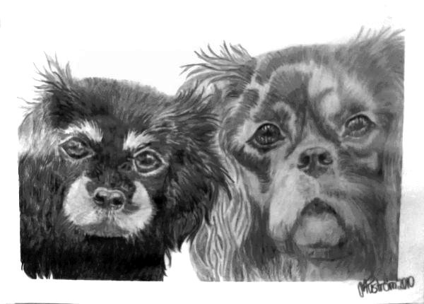 Galderden Petit Tigre & Galderden Graham Thomas