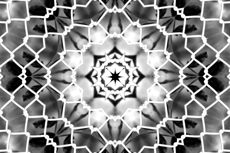  MG 6827 (2)-002