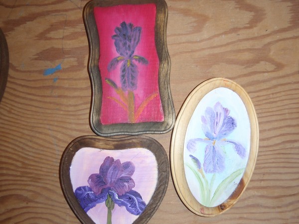 Iris Magnets