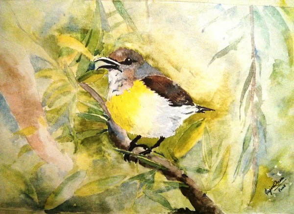Birdie