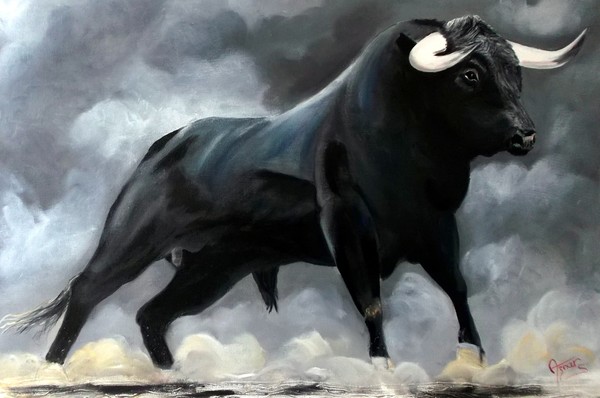 Bull in the Camargue 3
