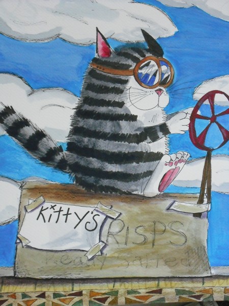 Kittys box plane