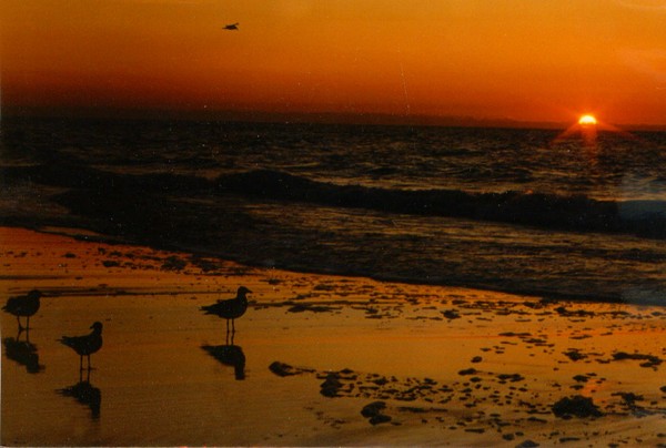 Long Beach, NY