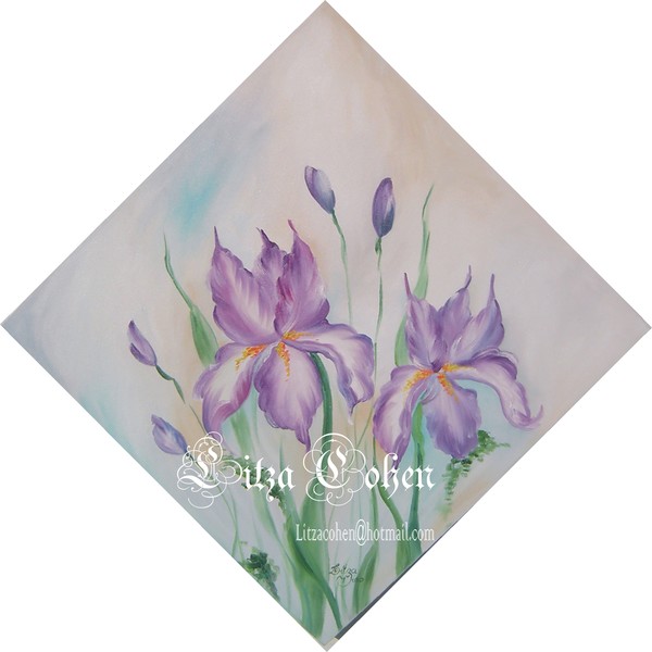 Purple Orchid