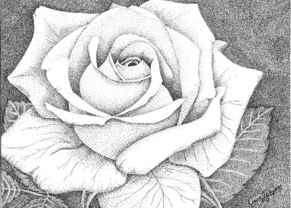 Rose02