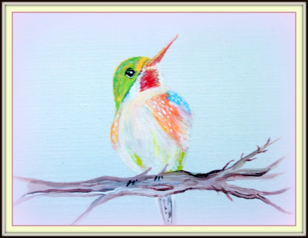 Pretty Birdy sitting on a branch
