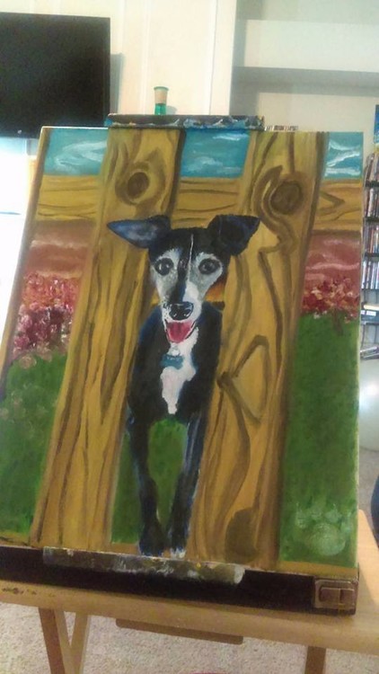 Pet Portrait - Vinnie