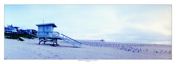 Manhattan Beach 18th St. Life Guard Tower w. Seagu