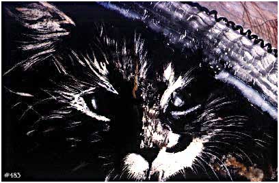 cat-#483Watercolor