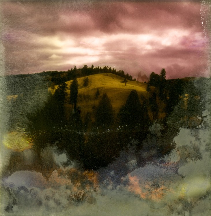 Amalgamated Fragmentation / Microbscape 4