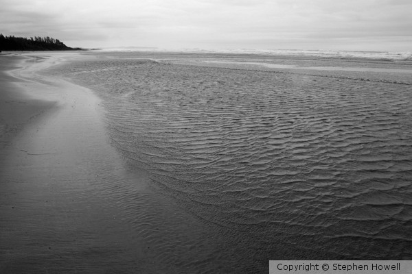 Calm Shallows