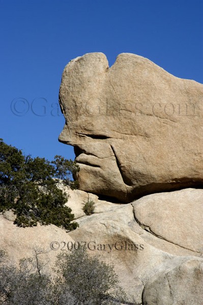 Rock Face
