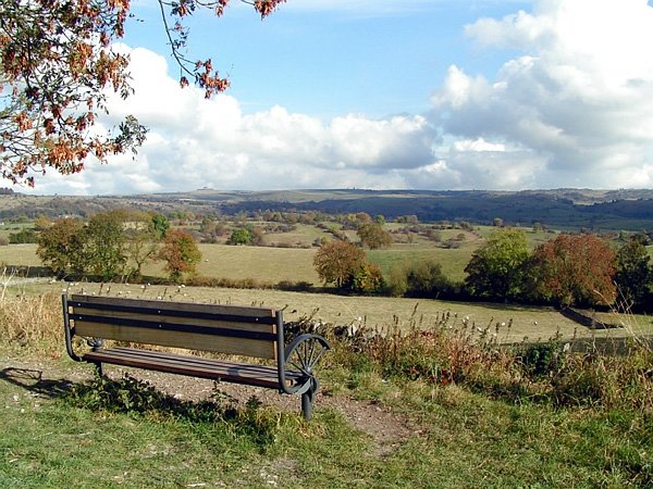 Seat with a view