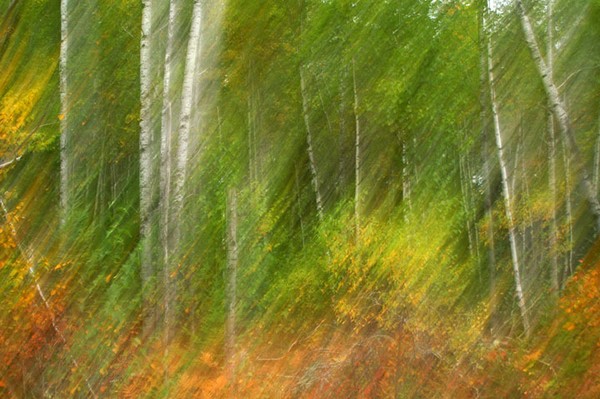 Autumn Tango
