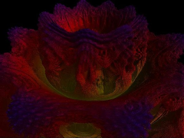Crocus_Fractal
