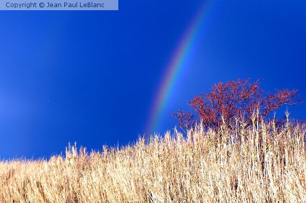 Arc en ciel 1