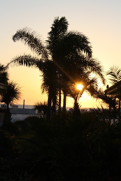 Sunshadow