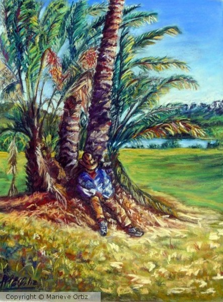 Siesta under the palms