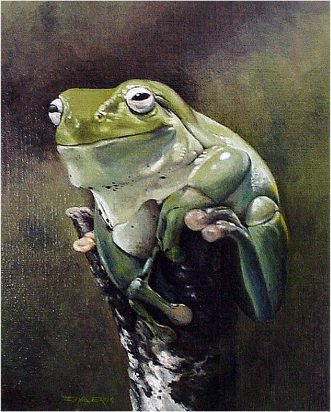 Green Frog