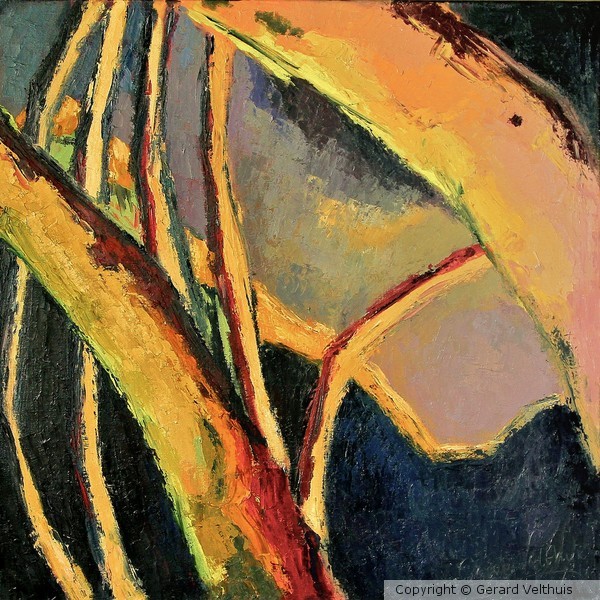 19.GerardVelthuis 90x90