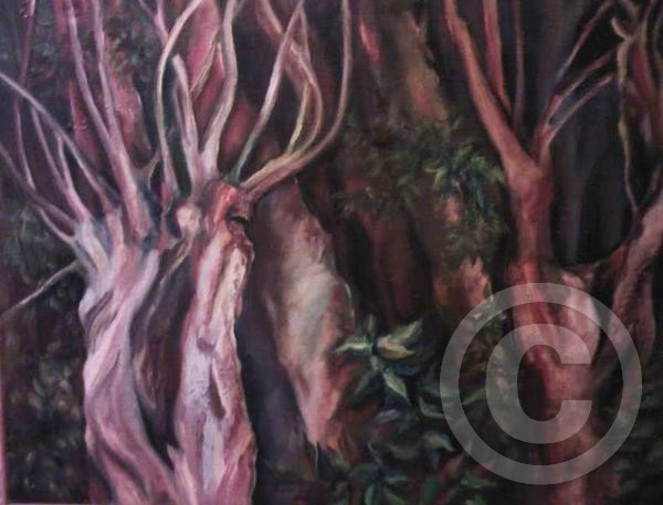 the magic willow's forrest
