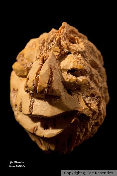 Carved Peach Pit: Happy Go Lucky