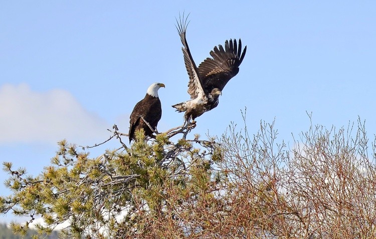 Photography by Carly Jo 