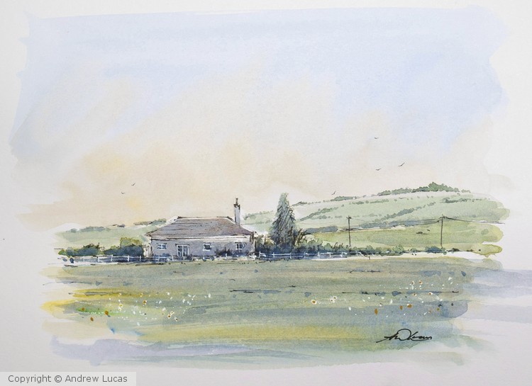 Among the fields