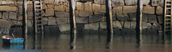Reflection